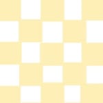 CHECKERBOARD LAME